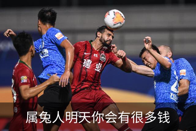 属兔人明天你会有很多钱
